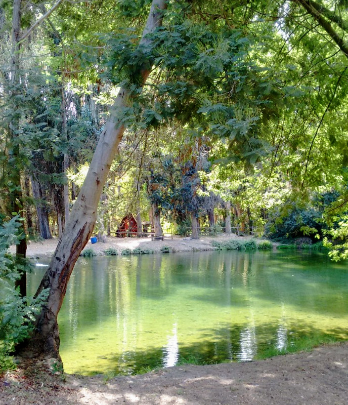 Zona de camping de Camping Chita Que Lindo