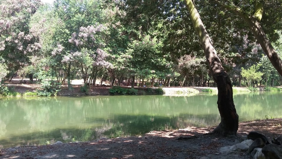 Áreas verdes con sombra en Camping Chita Que Lindo