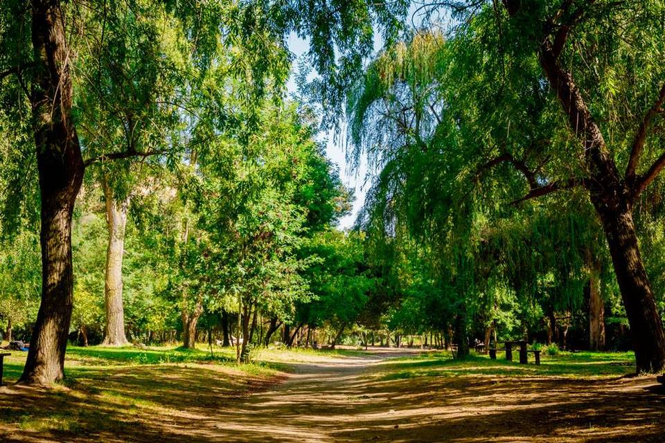 Vista general de las áreas verdes del camping