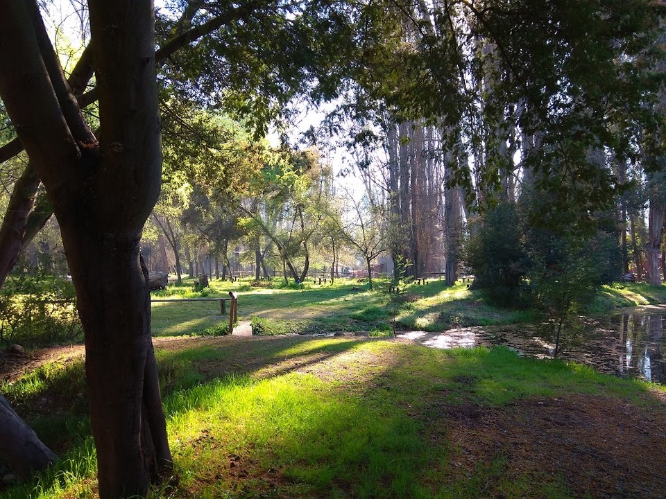 Vista general de las lagunas del camping