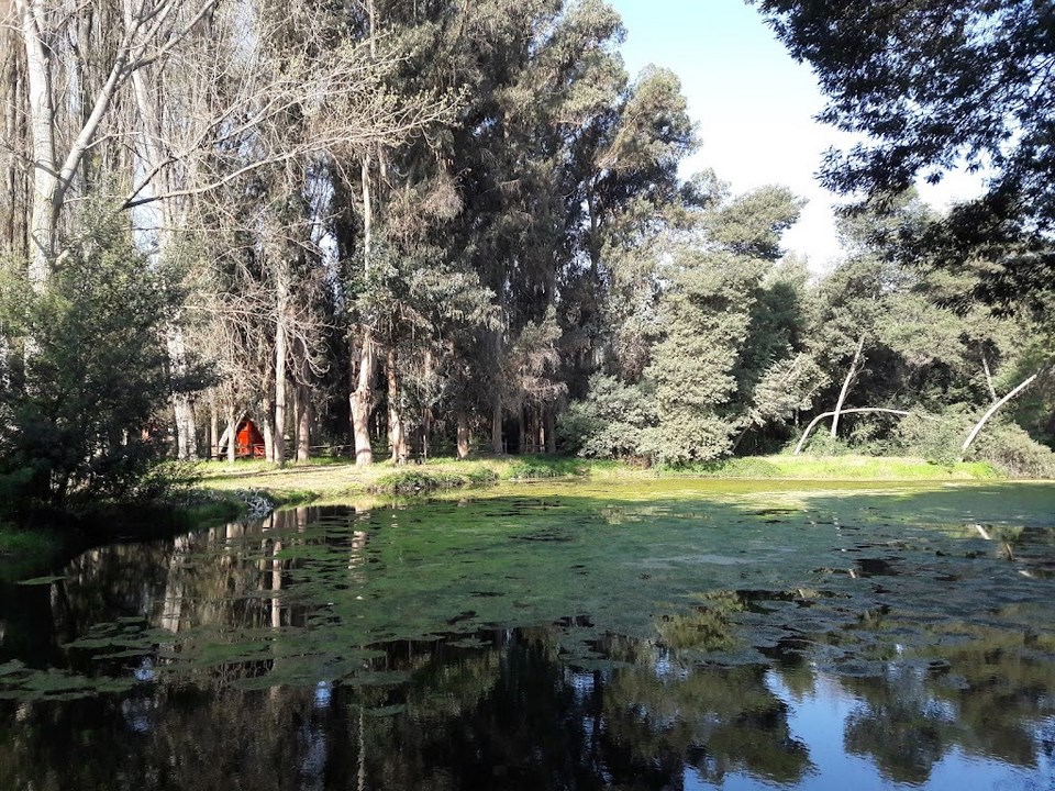 Atardecer en las lagunas de Camping Chita Que Lindo